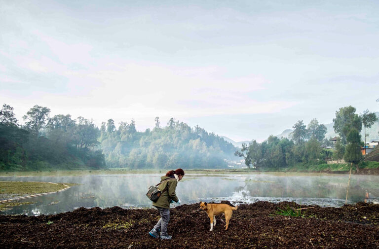 Jelajah Ranu (Ranu Pani)
.
Ranu (danau) Pani yang terletak di kawasan Taman Nasi...