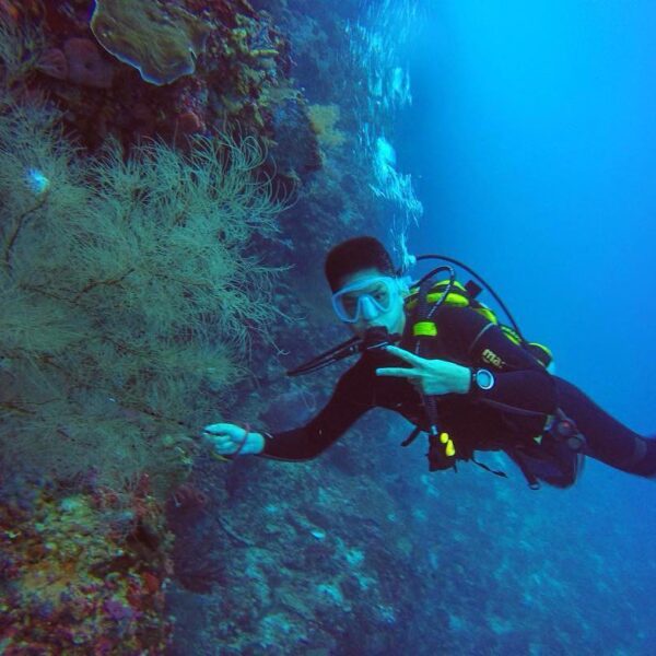 #explorealor Photo today by  arround at Alor, Nusa Tenggara Timur
#alor
#pulaual...