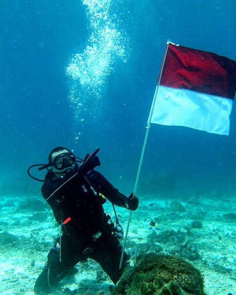 Mengucapkan Dirgahayu Indonesiaku yang ke 72  semoga indonesia lebih merdeka, m...