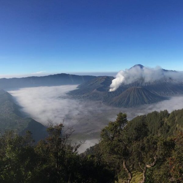 Selamat Pagi 
Admin lagi jalan jalan 
Taken at Pananjakan Bromo, Jawa Timur.
#ex...