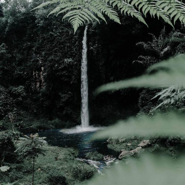 A capture by  makes you want to chase waterfalls, doesn’t it?
#explorebandung...