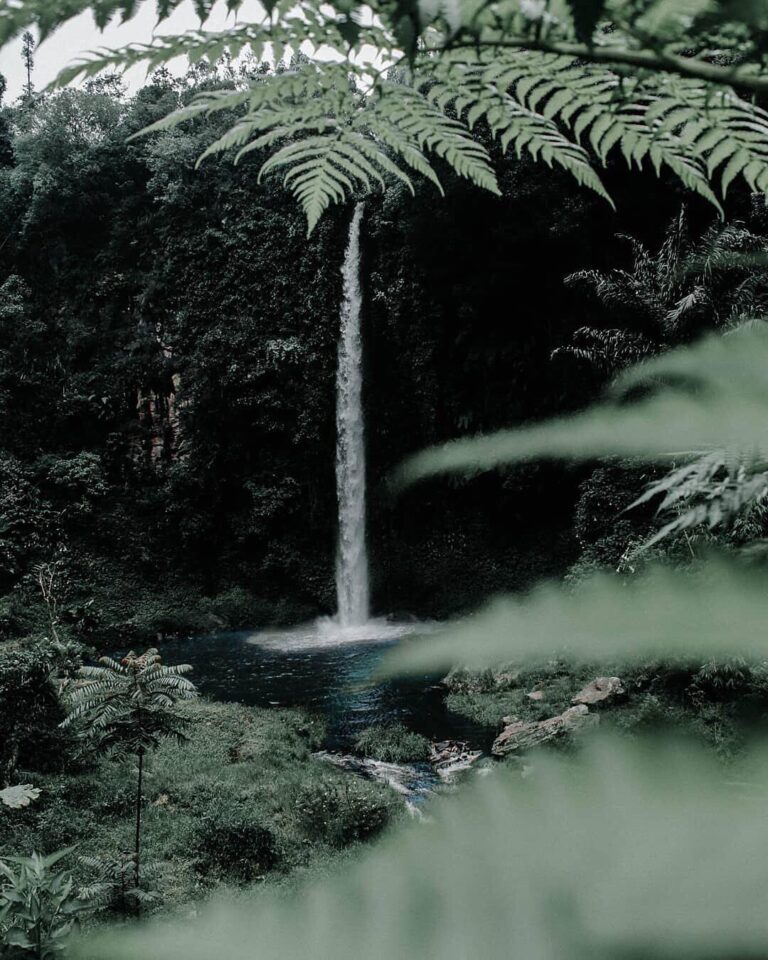 A capture by  makes you want to chase waterfalls, doesn’t it?
#explorebandung...
