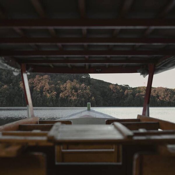 A scene like this is one of the reason why people addicted to nature. Captured b...