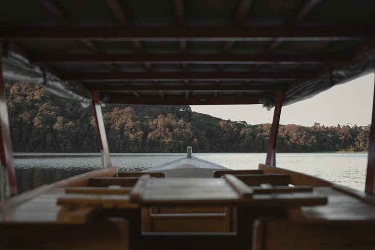 A scene like this is one of the reason why people addicted to nature. Captured b...