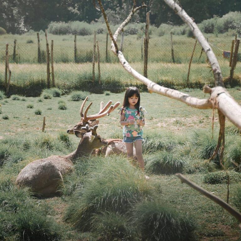 Being thoughtful and compassion towards all creature is a lesson that is needed ...