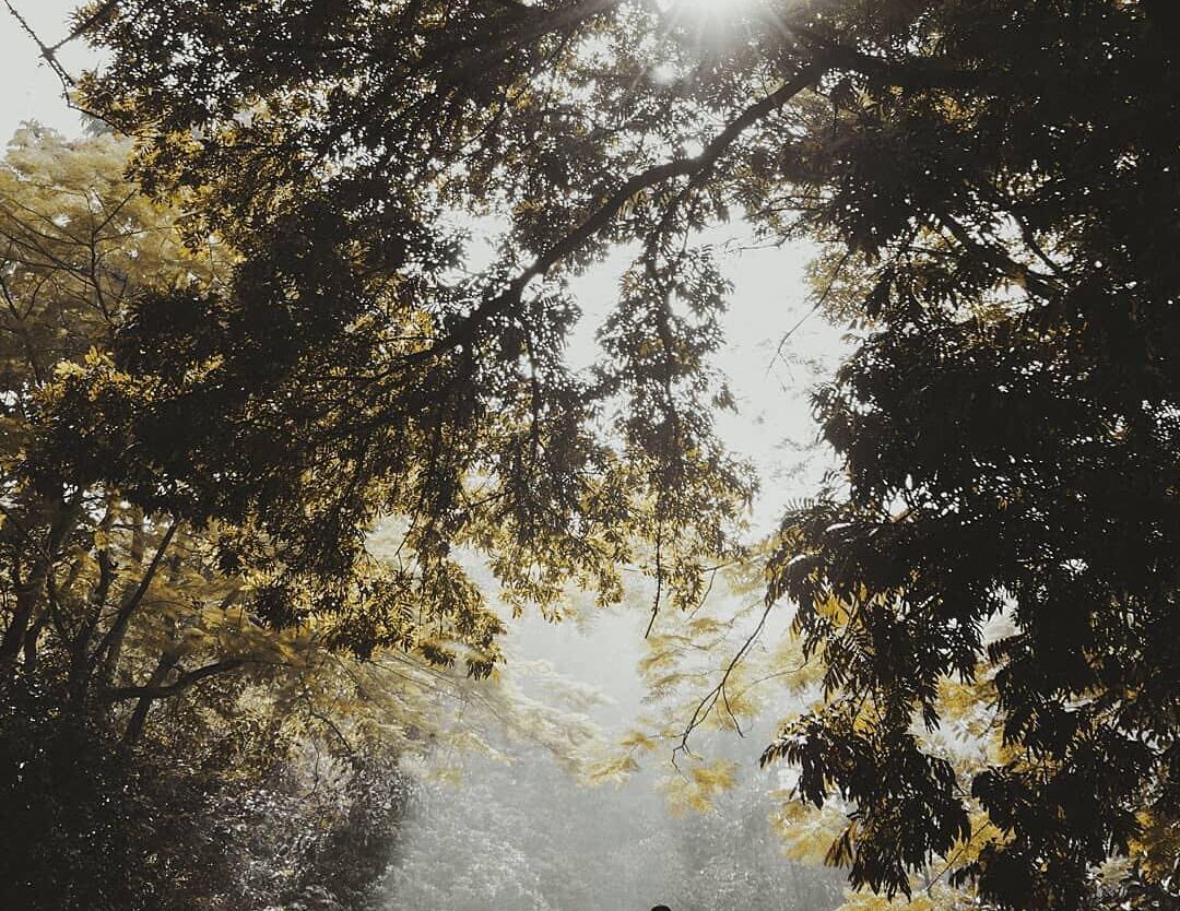 Blend with nature, you will always have a reason to feel alive. Live today, live...