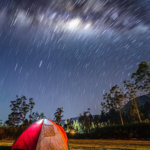 "Block the lighting with your hands, now look up to the sky. There, can you see ...