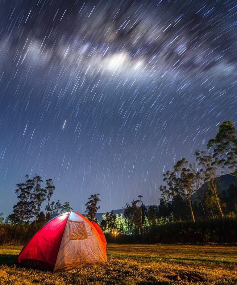 "Block the lighting with your hands, now look up to the sky. There, can you see ...