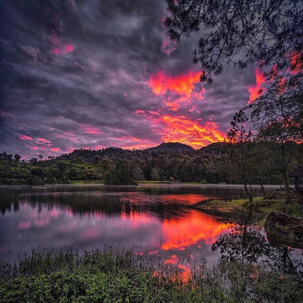 Chasing the magical hour of the dawn.
-
Situ patenggang sunrise captured by 
#ex...