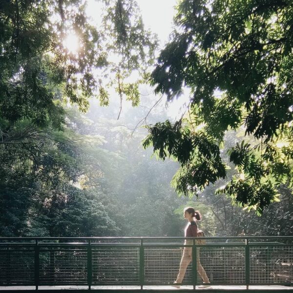 City park could be your cheap short getaway to escape urban hustle and bustle. B...