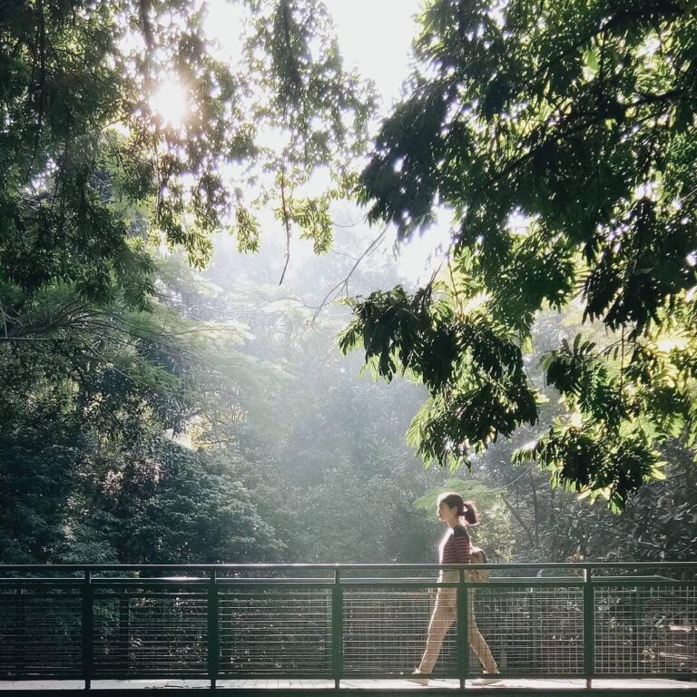 City park could be your cheap short getaway to escape urban hustle and bustle. B...