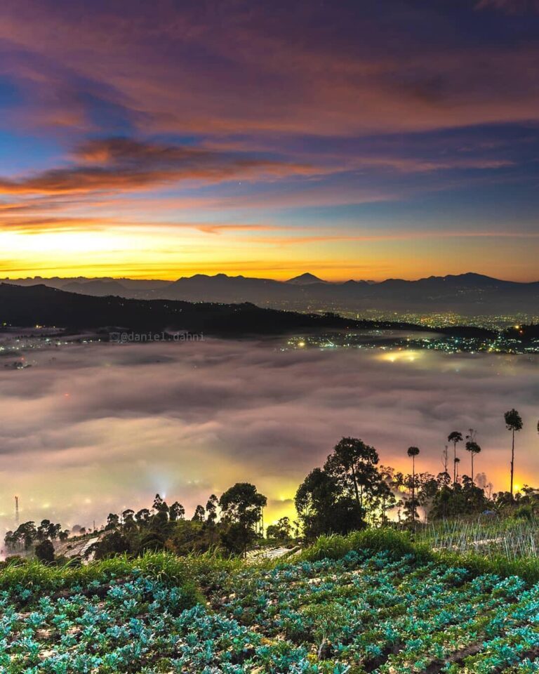 Color your life with chaos of the mother nature's colors.
-
Gunung Putri Lembang...