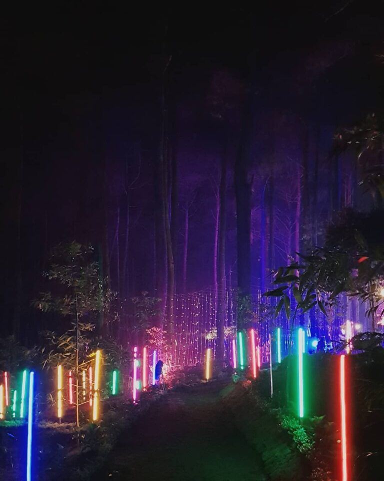 Colors of the woods, colors of fantasy. -
Orchid Forest Lembang well captured by...