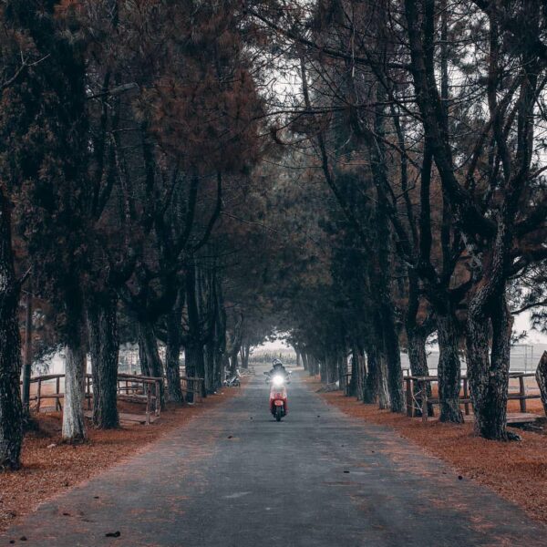 Conquer your fear and seize the day! -

Photo by  #explorebandung...