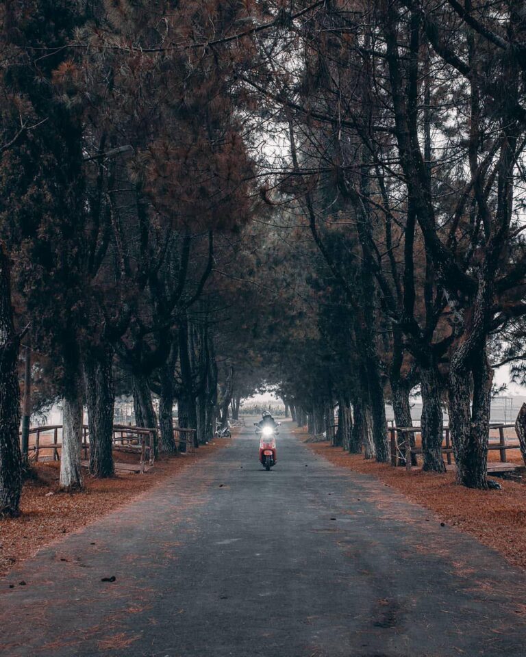 Conquer your fear and seize the day! -

Photo by  #explorebandung...