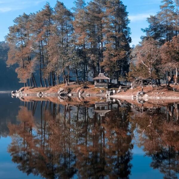 Crystal clear water of Patenggang to clear your mind. 
Photo by  #explorebandung...