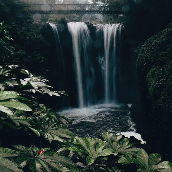 Detaching yourself from the anchor that holds you down is not selfish, it’s an a...