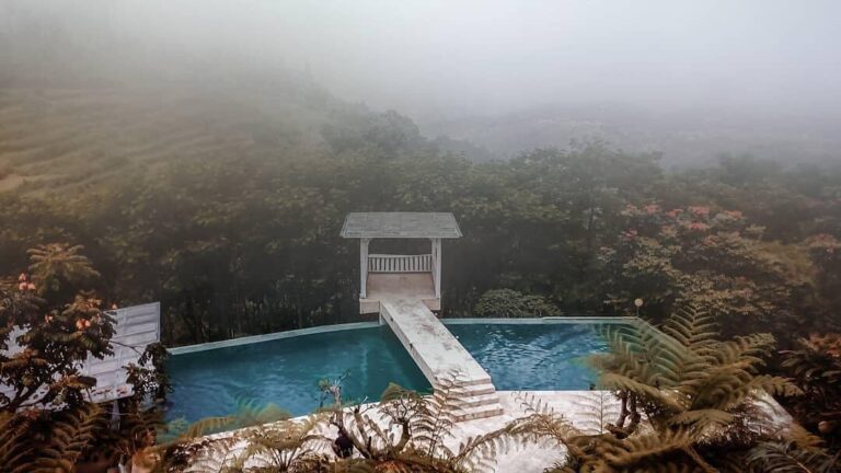 Dive into the serenity with a morning view in the highland of Bandung city.
-
Ca...