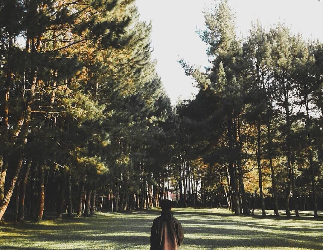 Earthing, an act of recharging soul with earth’s energy by being grounded and en...