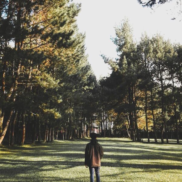 Earthing, an act of recharging soul with earth’s energy by being grounded and en...