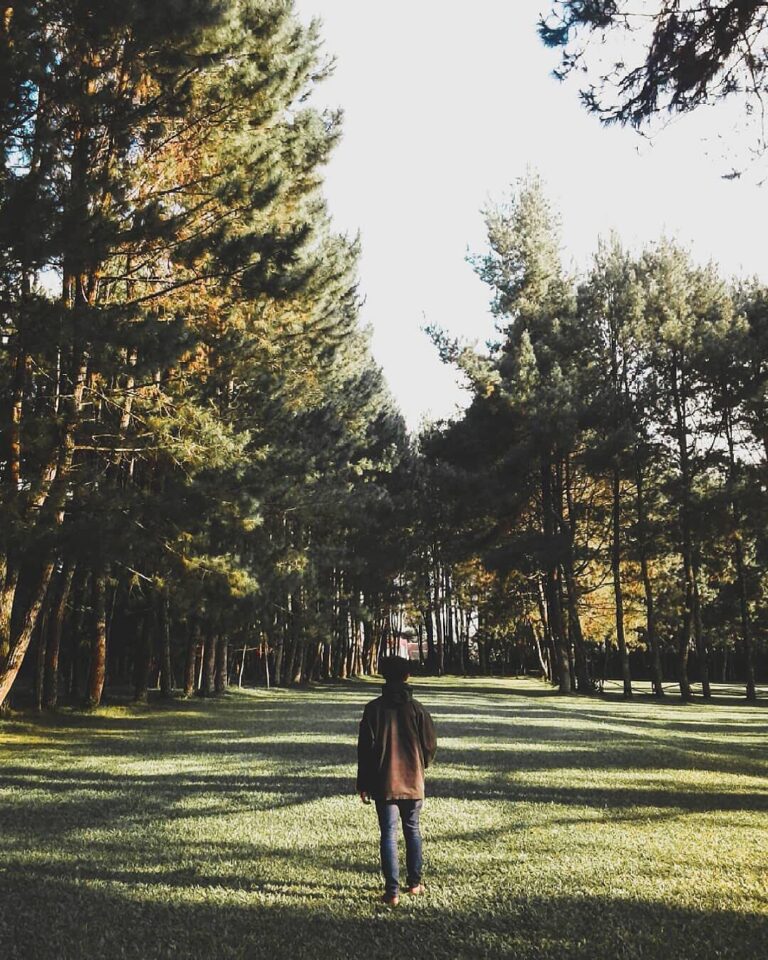Earthing, an act of recharging soul with earth’s energy by being grounded and en...