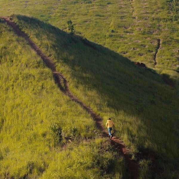 Embrace the freedom in the fairest meadow. Captured by 
#explorebandung...