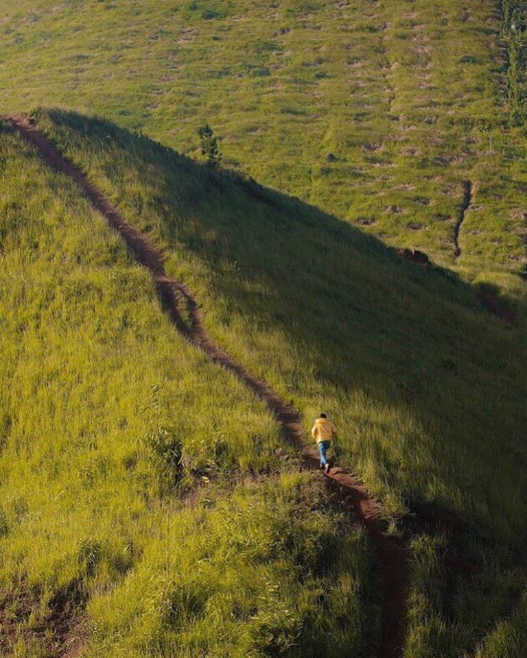 Embrace the freedom in the fairest meadow. Captured by 
#explorebandung...