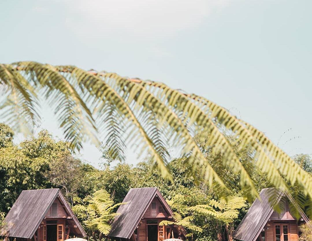 Experience dining with a view of lake and greenery at Dusun Bambu. -

Captured b...