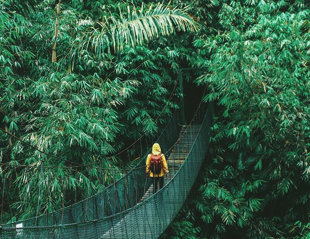 Explore into the wilderness and seek what you treasure the most.
-

Photo by  #e...
