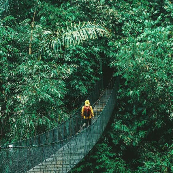 Explore into the wilderness and seek what you treasure the most.
-

Photo by  #e...