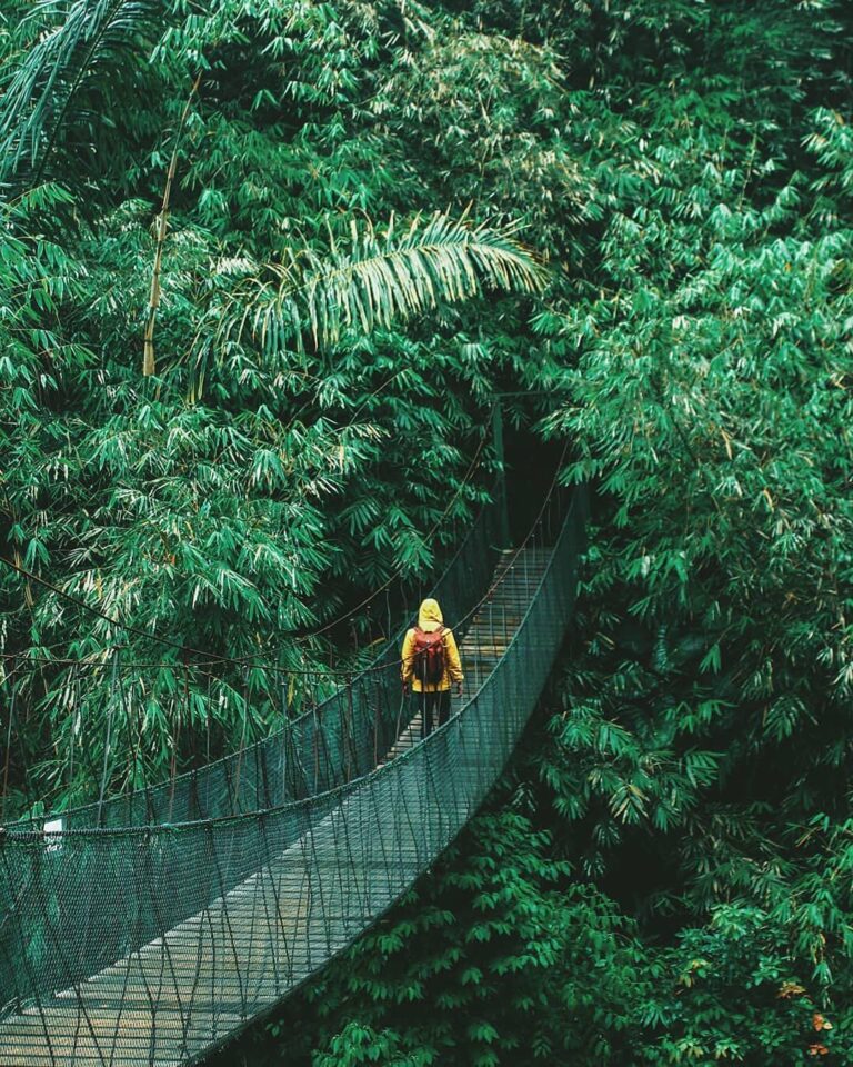Explore into the wilderness and seek what you treasure the most.
-

Photo by  #e...