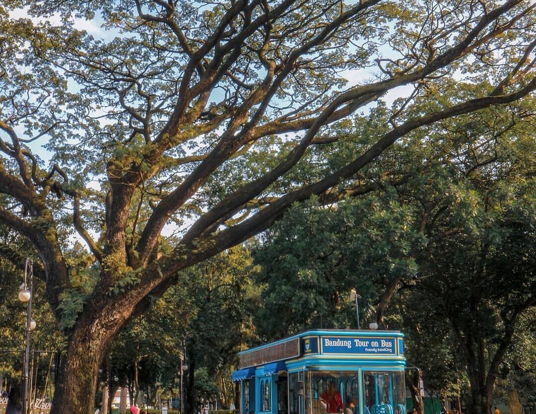 Exploring Bandung with Bandros.
-
Balaikota Bandung taken by   #explorebandung...