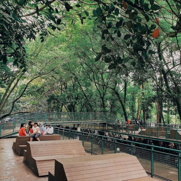 Feel the goodness of nature, in the middle of the city.
-
Taman Hutan Babakan Si...