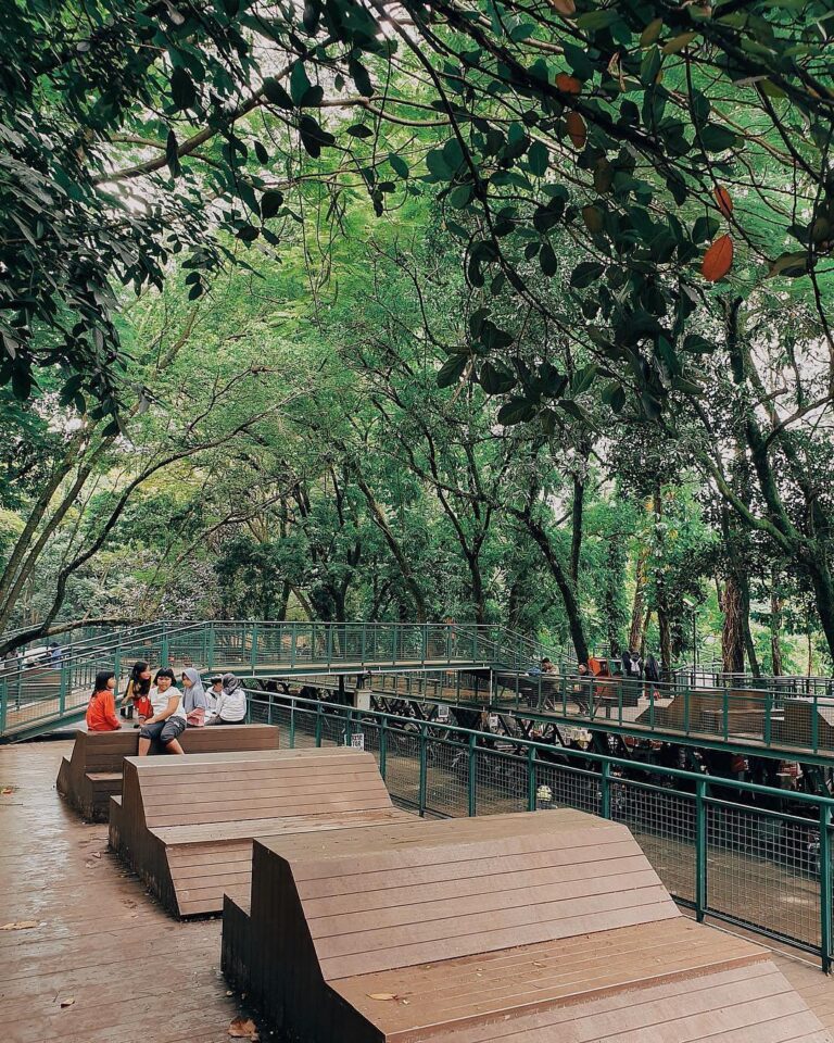 Feel the goodness of nature, in the middle of the city.
-
Taman Hutan Babakan Si...