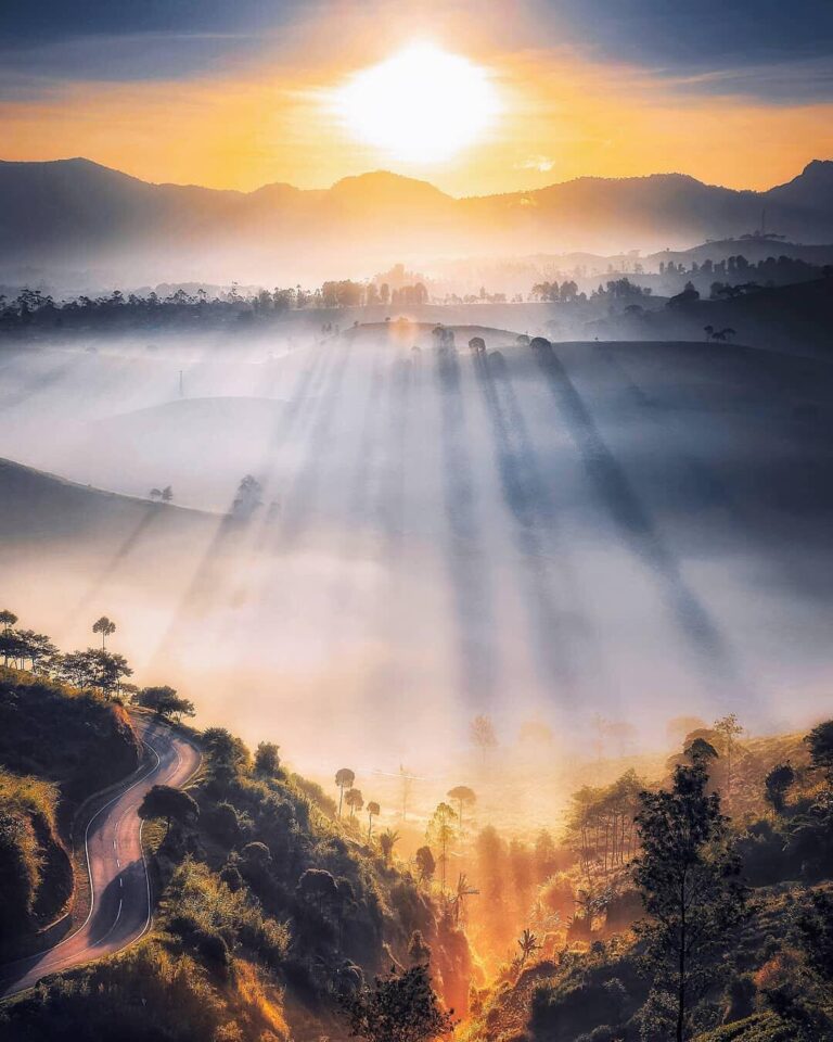 Find your peace of mind in everyday life, starts from the very first minute of t...