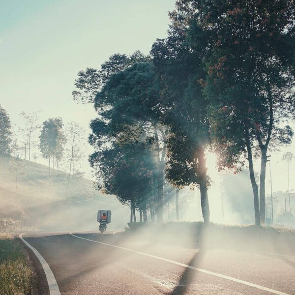 Follow the road that takes you to serenity, a higher peacefulness.
-
Blissful Pa...