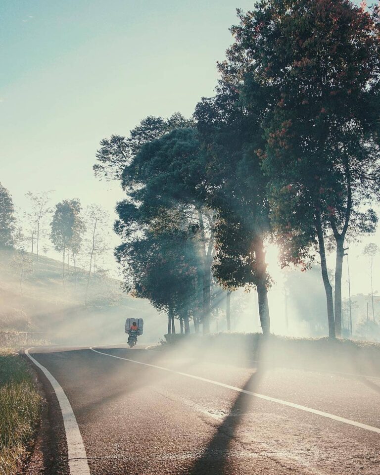 Follow the road that takes you to serenity, a higher peacefulness.
-
Blissful Pa...