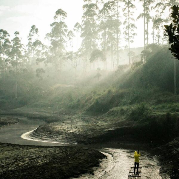 Get lost in nature and you will find yourself. -
Wonderful picture by  
#explore...