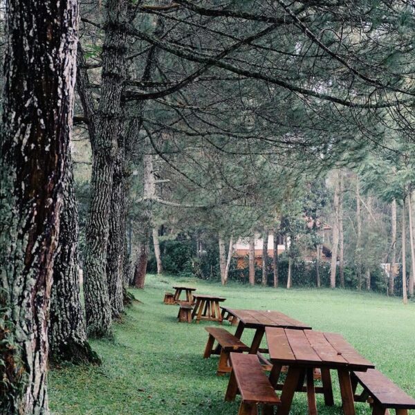 Get yourself carried away while having conversation with your loved ones in the ...