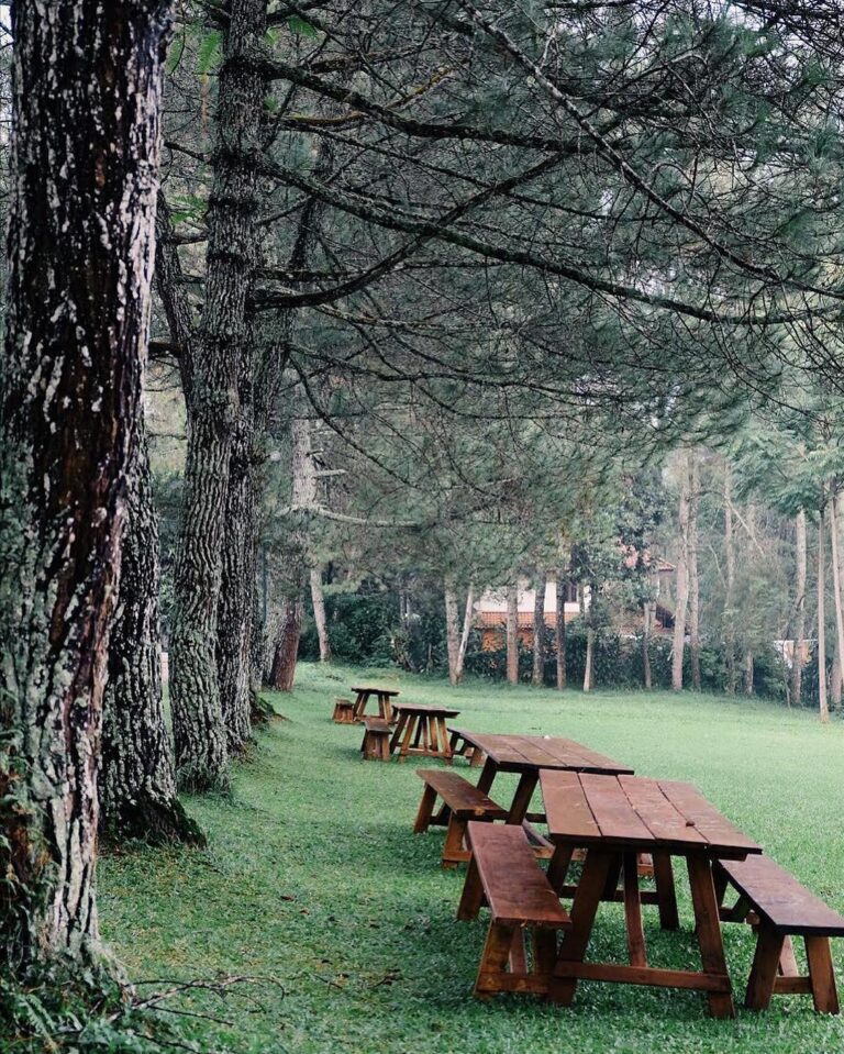 Get yourself carried away while having conversation with your loved ones in the ...