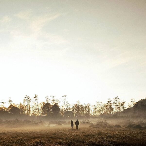 Golden hour of the mother earth, perfectly covered in the blanket of mist.
-
Tak...