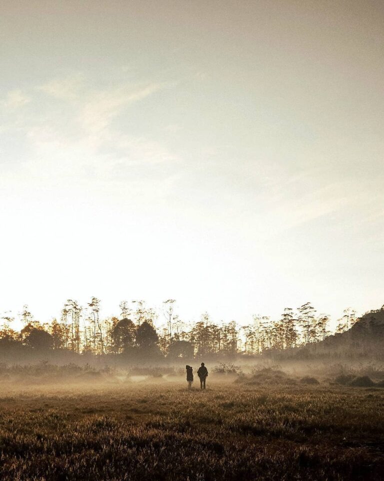 Golden hour of the mother earth, perfectly covered in the blanket of mist.
-
Tak...