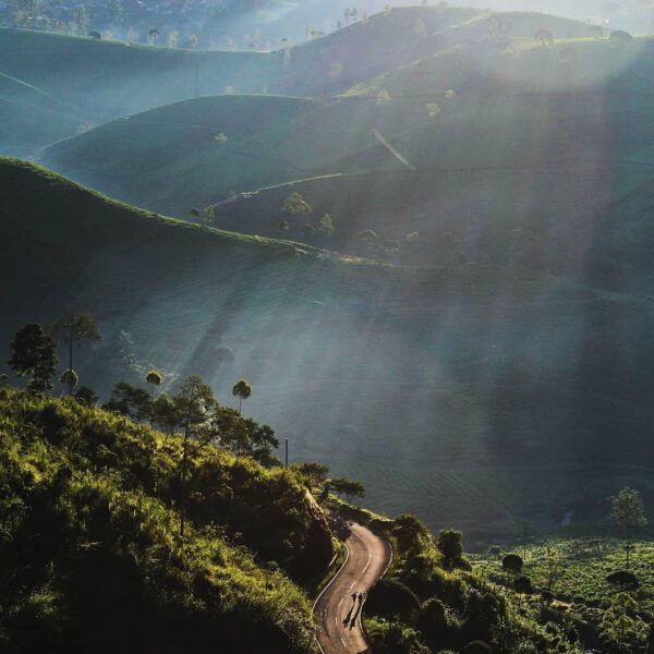 Imagine birds chirping, the winds gusting through your hair, and the sun’s warmt...