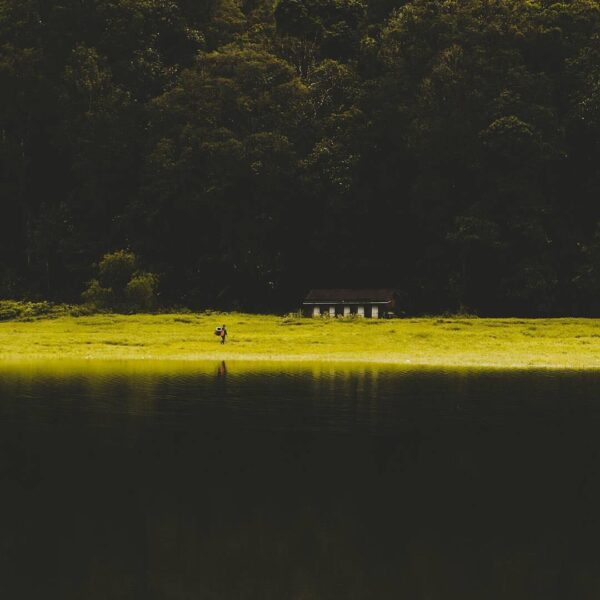 Indulge with the serenity of nature. Situ Patenggang captured by 
#explorebandun...