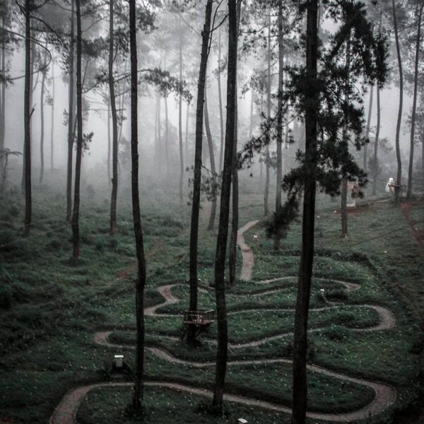 It might not be easy, the path  you walk will challenge you. But that’s life, an...