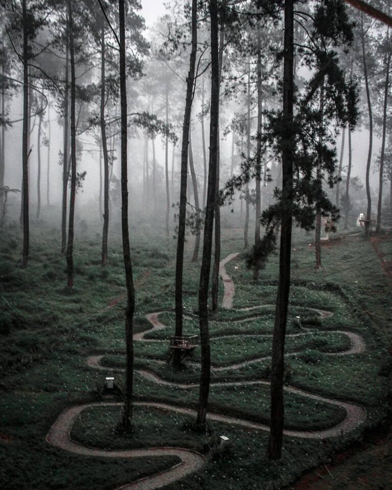It might not be easy, the path  you walk will challenge you. But that’s life, an...