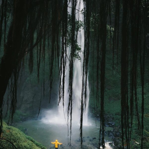 Live like a heavy stream that tackles what lies on its way but give life to its ...