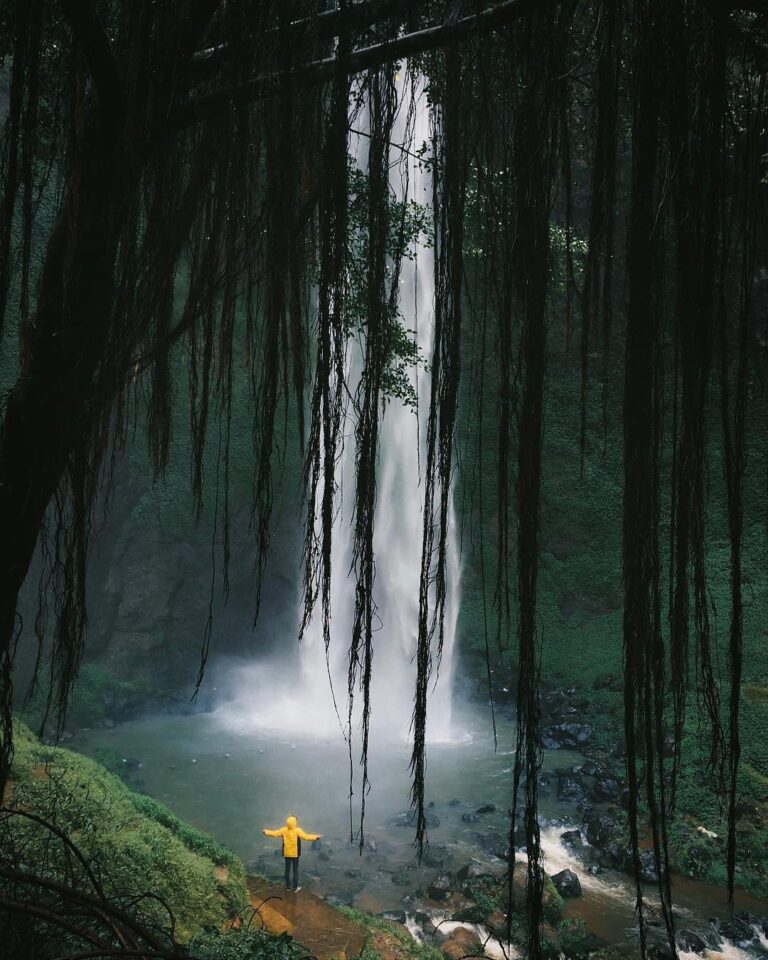 Live like a heavy stream that tackles what lies on its way but give life to its ...