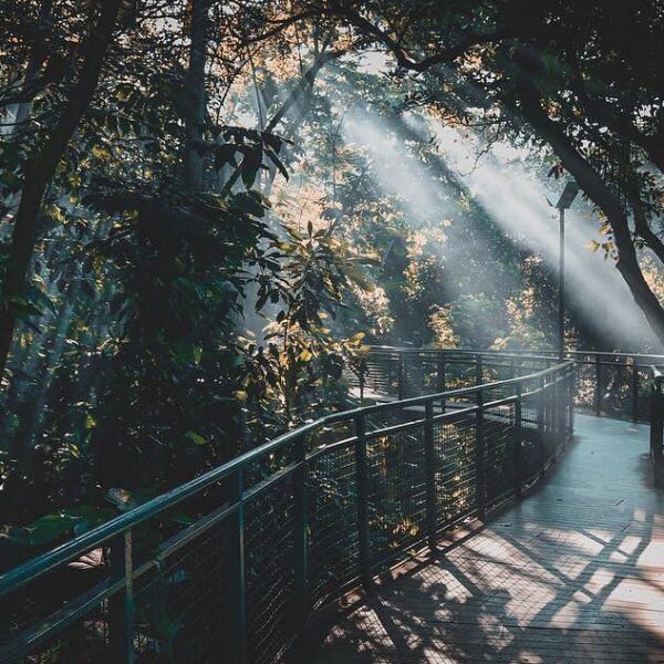 Make Monday the beginning of your success. Babakan Siliwangi captured by 
#explo...