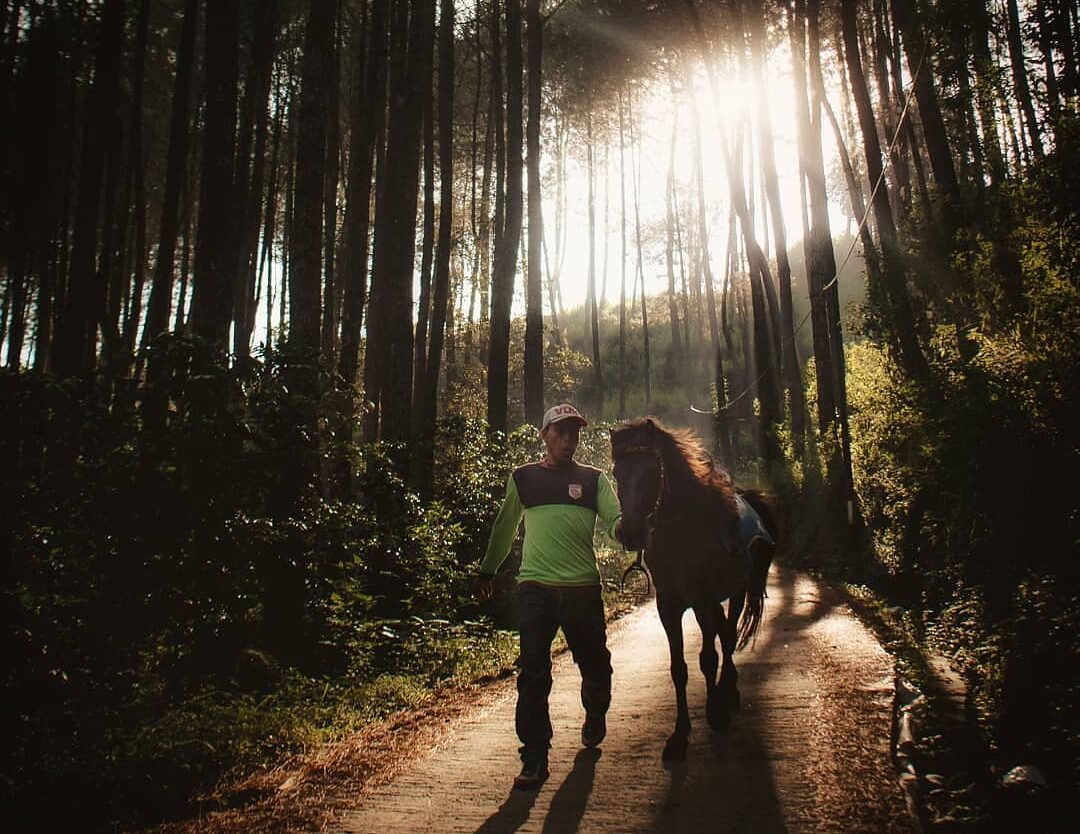 May your journey in finding a home will be peaceful. -
Photo by 
#explorebandung...